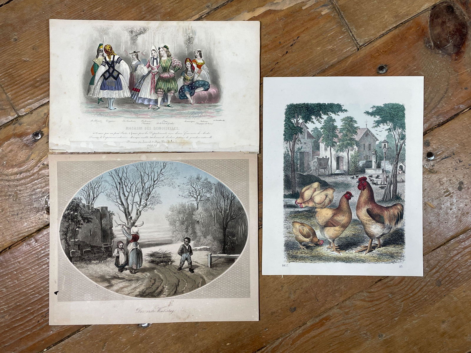 (3) Hand Colored Etchings (1 of 1)