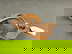 item-209905644=1