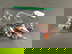 item-209905764=1