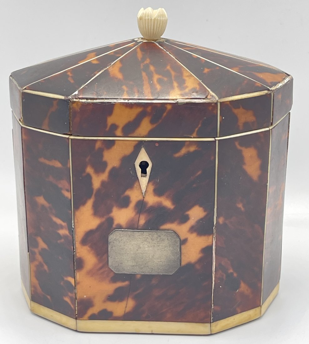19th Century Tortoise Shell Veneered Tea Caddy (1 of 4)