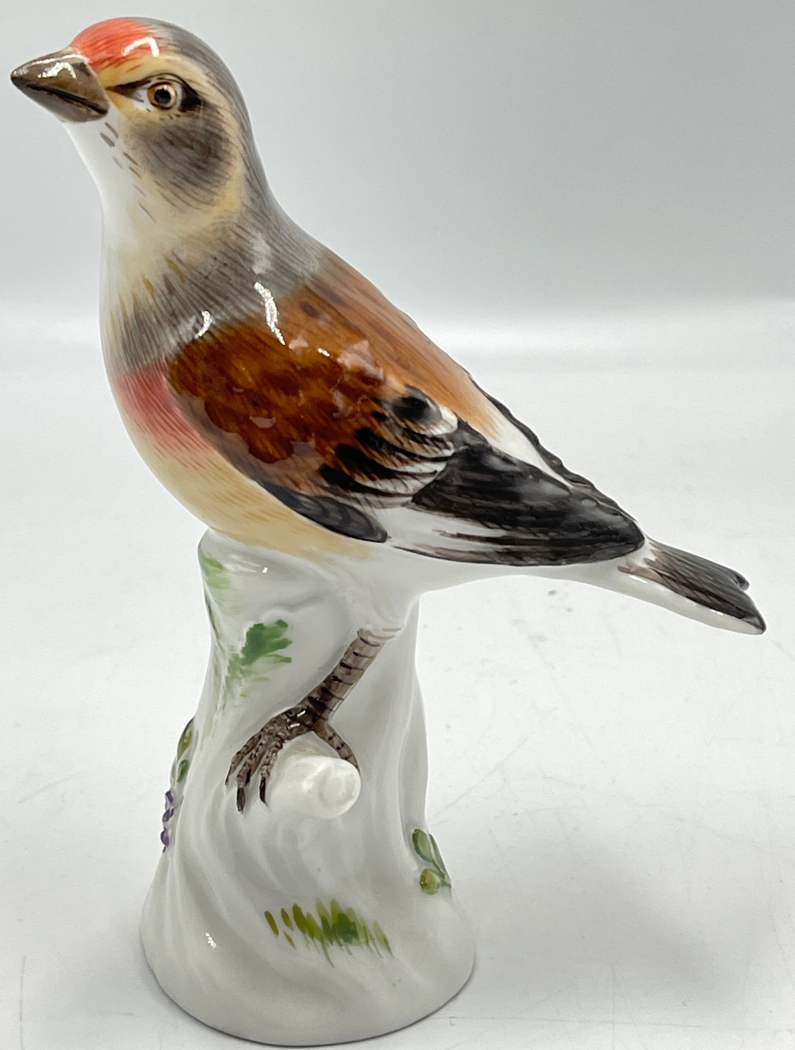 c1900 Meissen Porcelain Model of Bird Johann Joachim Kändler (1 of 6)