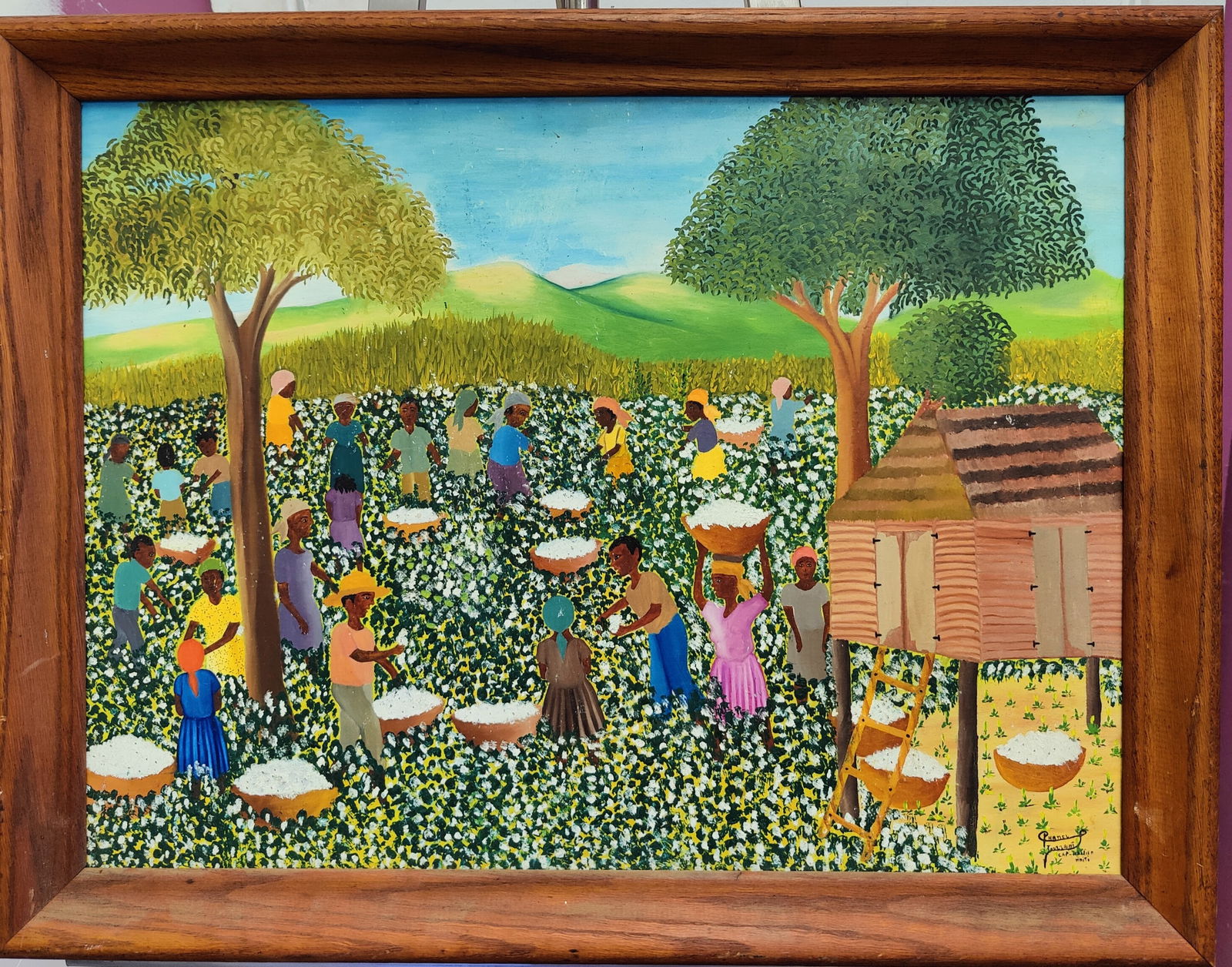 Phanel Toussaint O/B Haitian Villagers Picking Cotton (1 of 4)