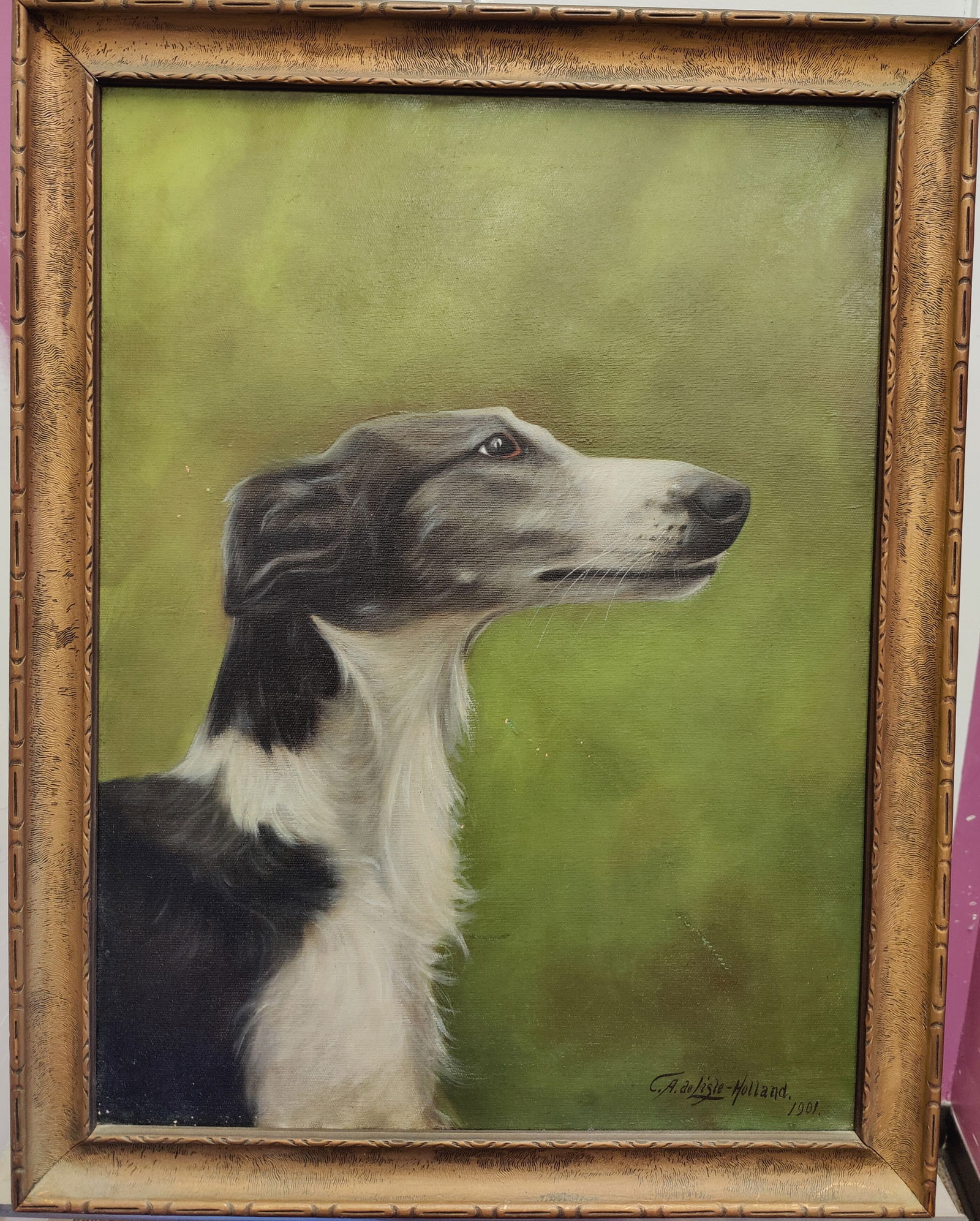 C A de Lisle - Holland European School Russian Wolfhound (1 of 4)