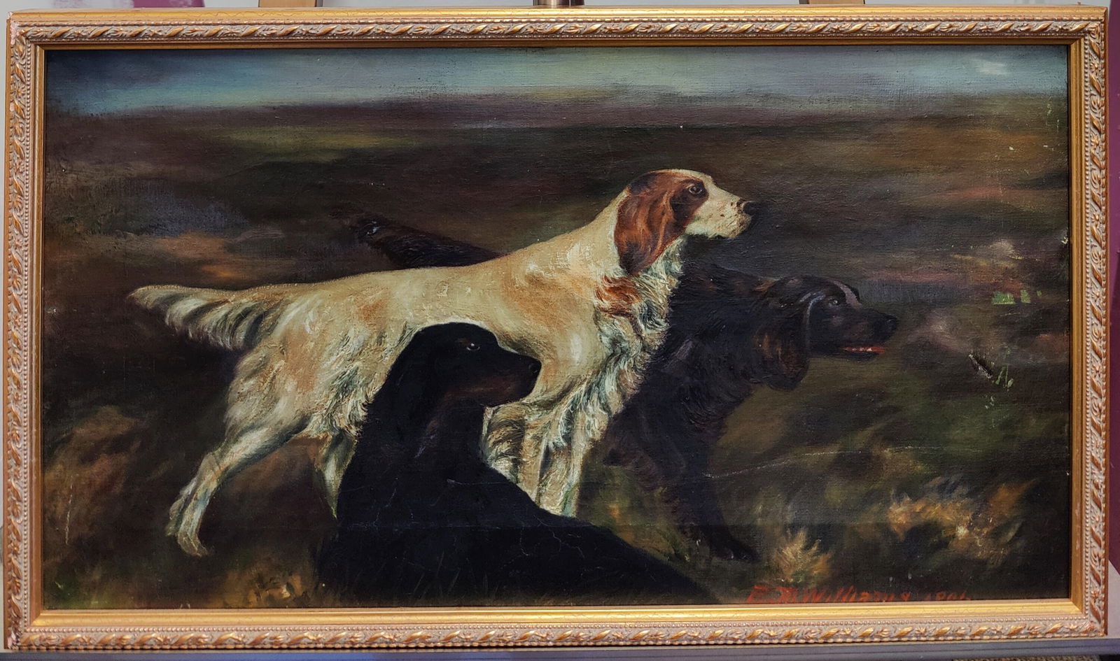 E. M. Williams European School O/C Irish Setters 1901 (1 of 4)