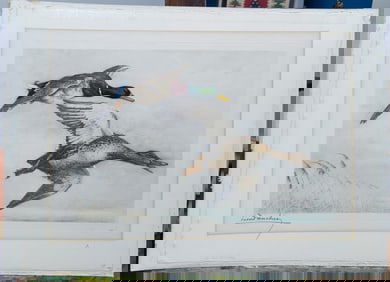 Leon Danchin Colored Etching Titled Wild Drakes