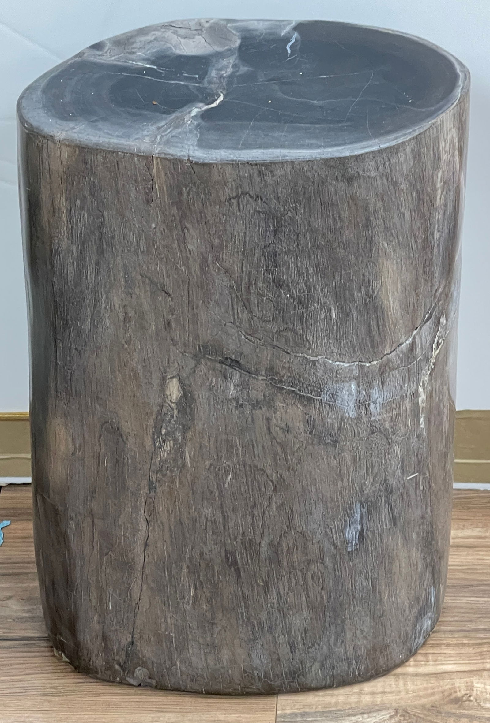 Petrified Wood Side Table (1 of 5)