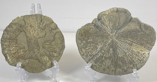 Lot of 2 Pyrite Sun / Dollar Samples