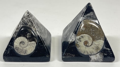 Lot of 2 Orthoceras & Ammonite Pyramids