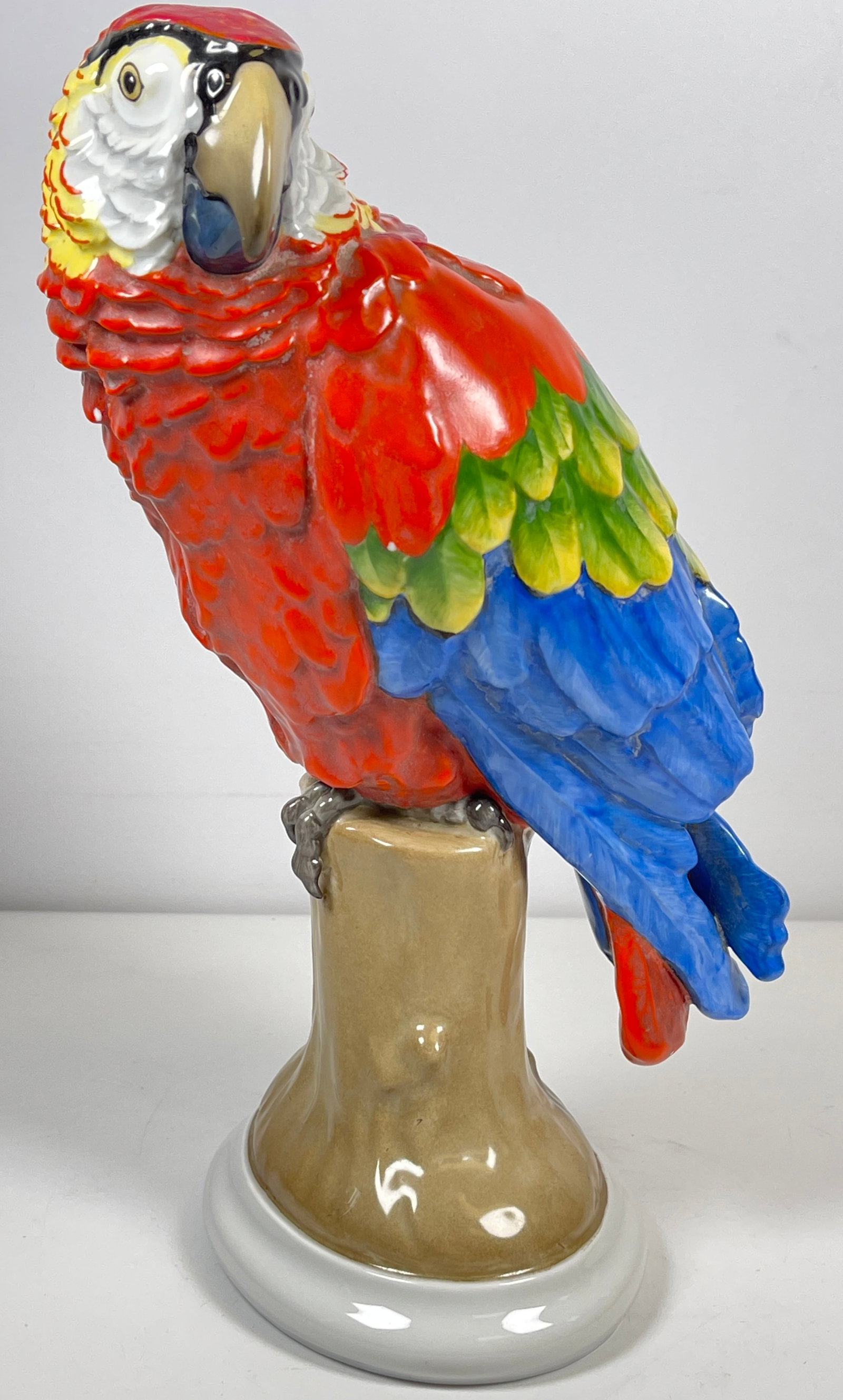 c1920 Rosenthal Selb Han Painted Parrot on Base: Parrot on a base, Rosenthal, Selb, 1920-30s, designed by Dorothea Moldenhauer in 1919, model no. 22, on oval branch base, polychrome painted. Overall good condition, some chipping to the paint please 