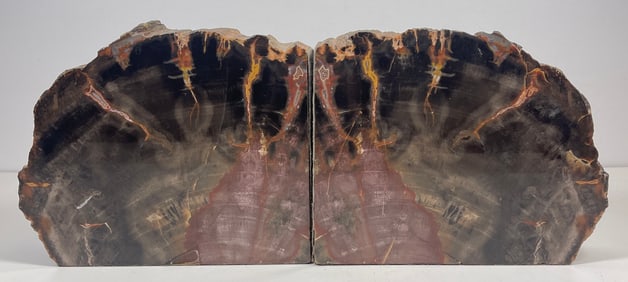 Pair Petrified Wood Bookends