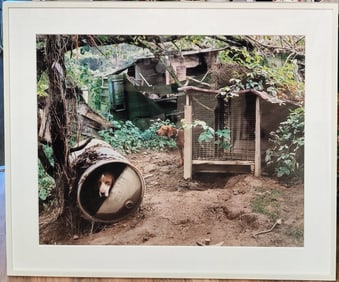Mike Smith L/E Chromogenic Print Unicoi County, TN, 1997