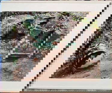 Mike Smith L/E Chromogenic Print Unicoi County, TN, 1997: Mike Smith (Massachusetts, Connecticut, Tennessee, b. 1951 - ) limited edition 1 of 15, Chromogenic Photographic Print titled "Unicoi County, Tennessee". Photo depicts dogs in yard debris, TN. A
