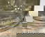 item-206142285=4