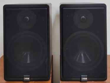 Pair of Canton Made in Germany Ergo 22 DC Shelf Speakers