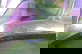 item-206142475=5