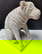 item-206142514=4