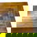 item-209523800=3