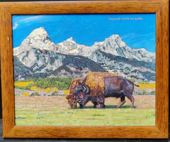 Donald Curran O/B Buffalos Grazing Mountainside