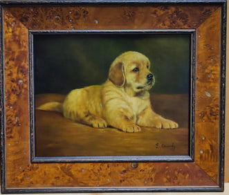 Laura Cassidy O/B Portrait of a Golden Retriever