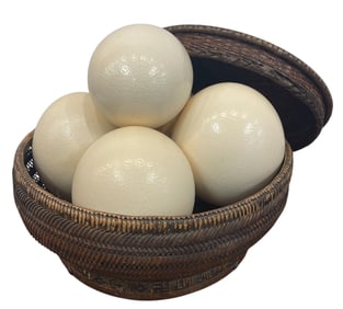 Wicker Basket with (5) Ostridge Eggs