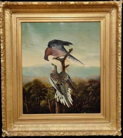 Alfred J. Crook O/C Pigeons Playing on a Perch, 1870