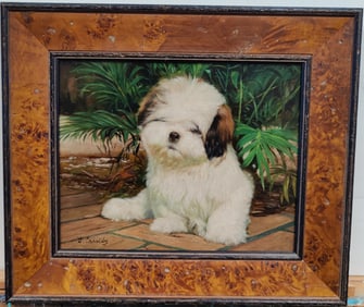 Laura Cassidy O/B Portrait of a Cute Young Shih Tzu