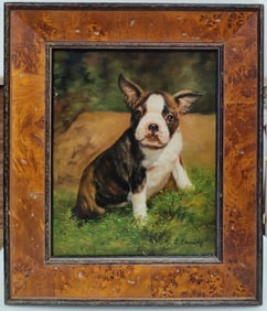 Laura Cassidy O/B Portrait of a Puppy Boston Terrier