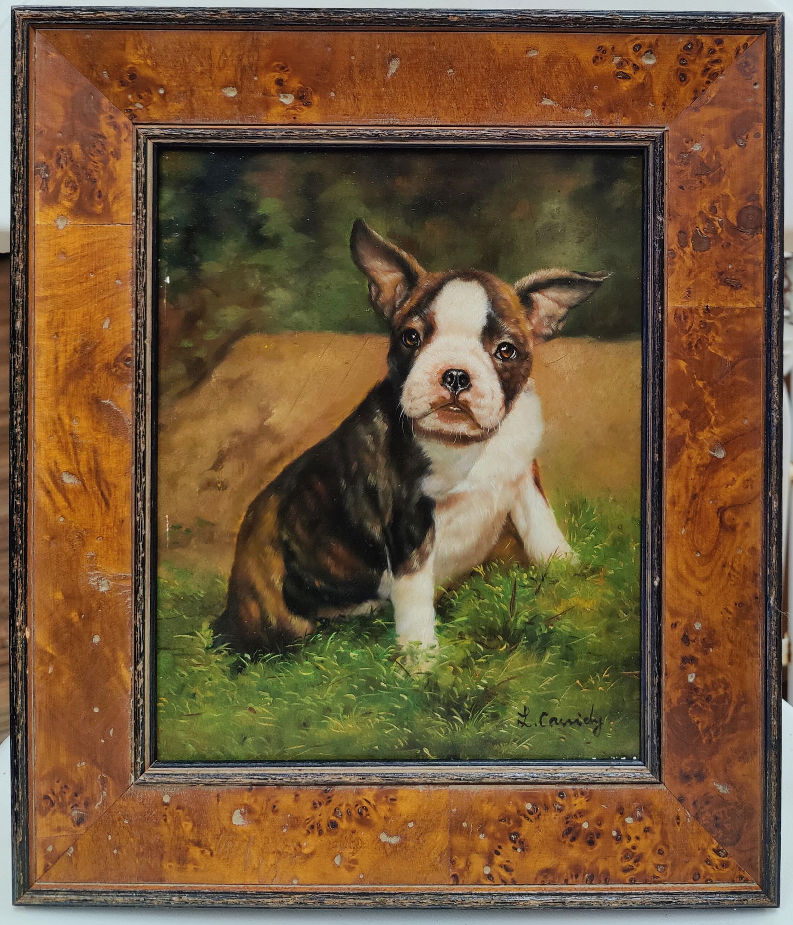 Laura Cassidy O/B Portrait of a Puppy Boston Terrier: Laura E. Cassidy (Ohio, 20th c.) O/B painting portrait of a Puppy Boston Terrier. Excellent condition and beautifully framed in a knotty walnut frame. Signed lower right. 7.5" x 9.5" sight.