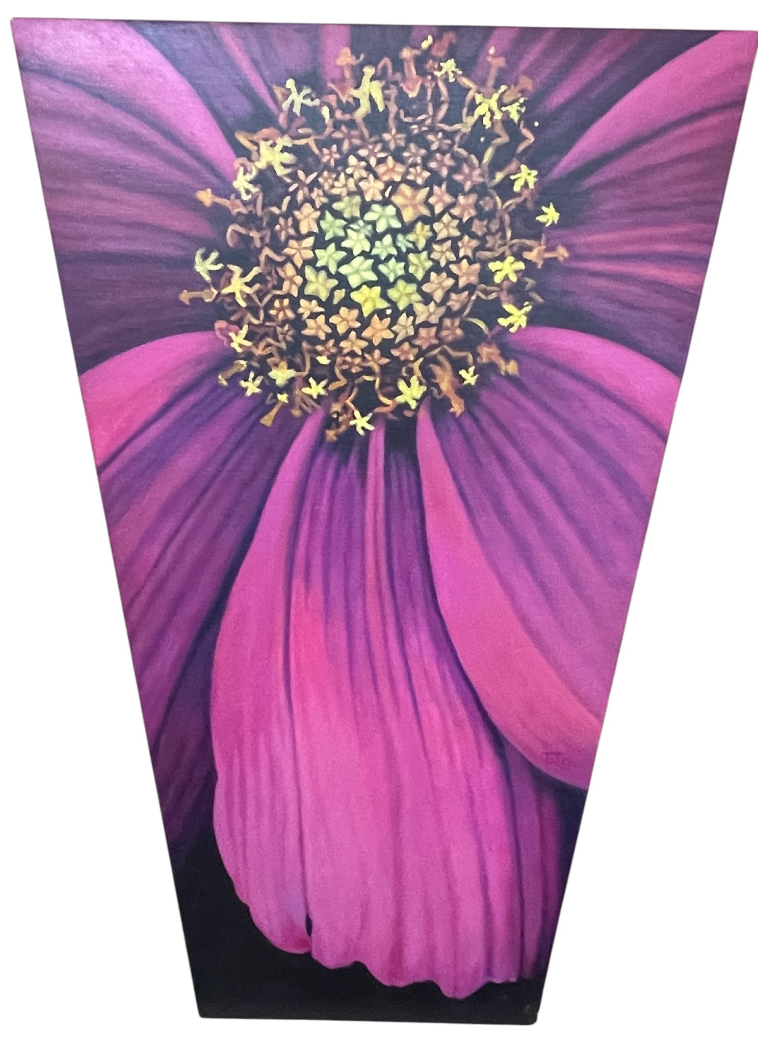 Peter Tripp O/B Contemporary Floral Fuchsia Zinnia: Peter Tripp (Florida, New York, 1935 - 2015) O/B realist painting on a custom angular integrated frame stretcher of a Fuschia Zinnia, 2004, titled "Untitled Cosmos". Very good condition, with some dir