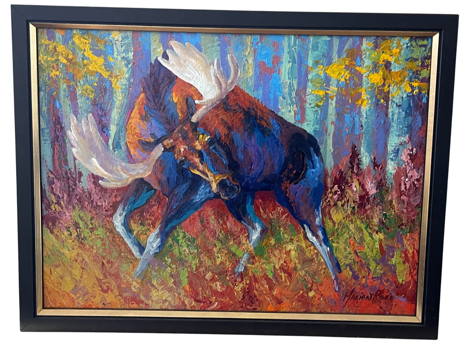 Marion Rose Contemporary O/C Imminent Charge II Moose (1 of 4)