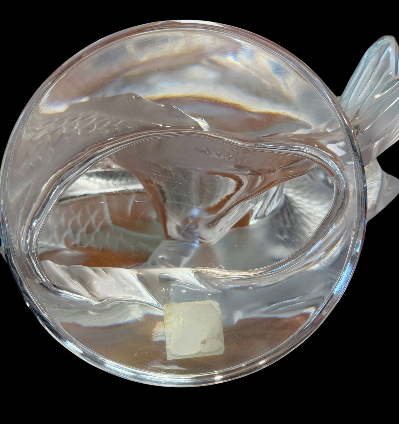 Large Lalique Crystal Deux Poissons Double Fish Sculpture - 7