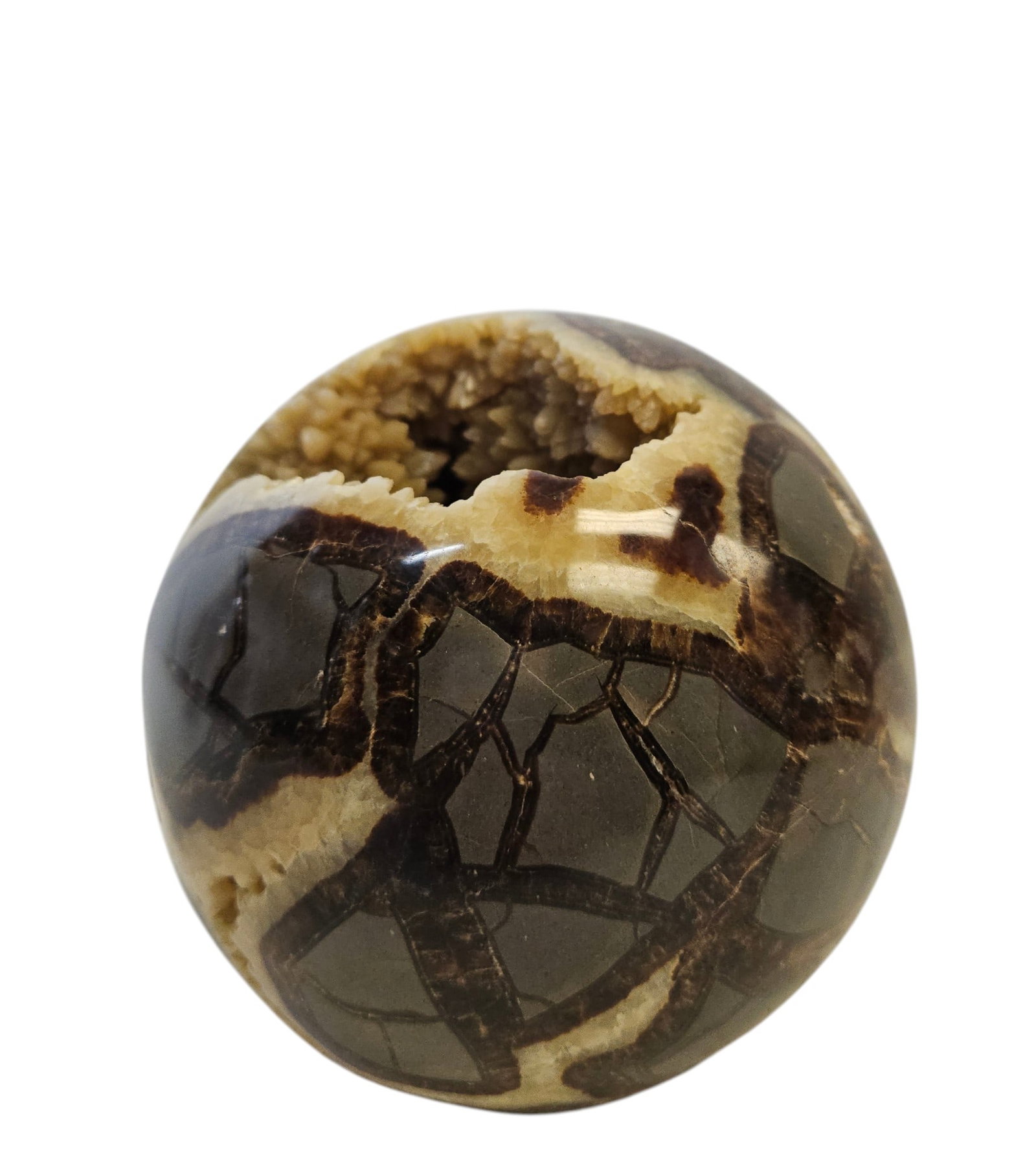 Polished Septarian Nodule 'Dragon Stone' Sphere (1 of 6)