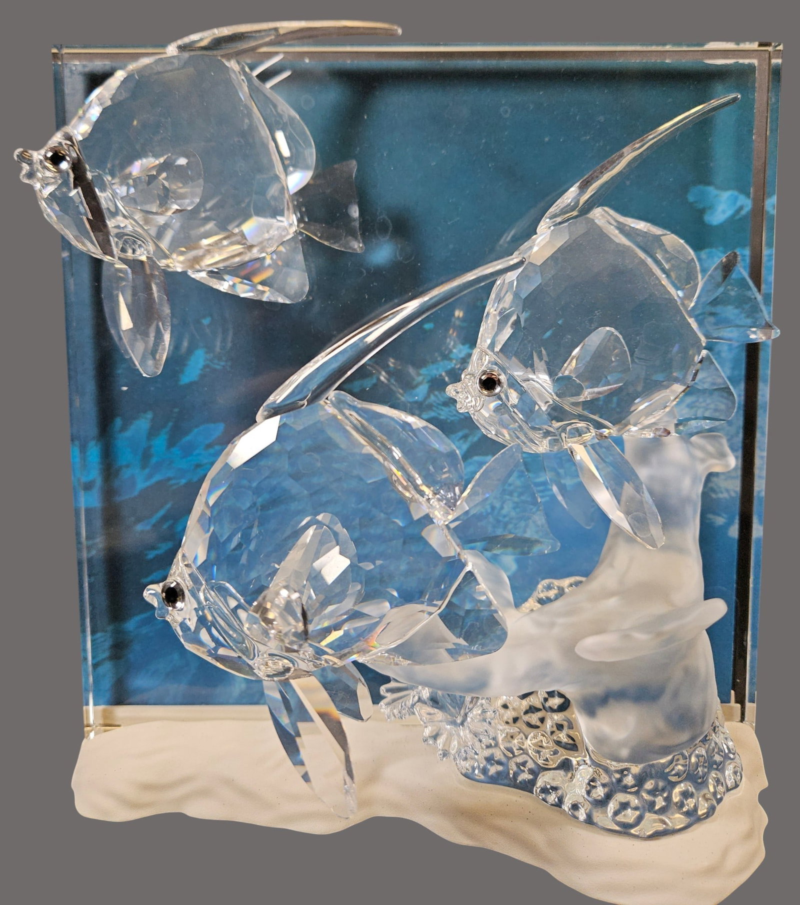 Swarovski SCS Crystal Wonders of the Seas Community Angel Fish (1 of 11)
