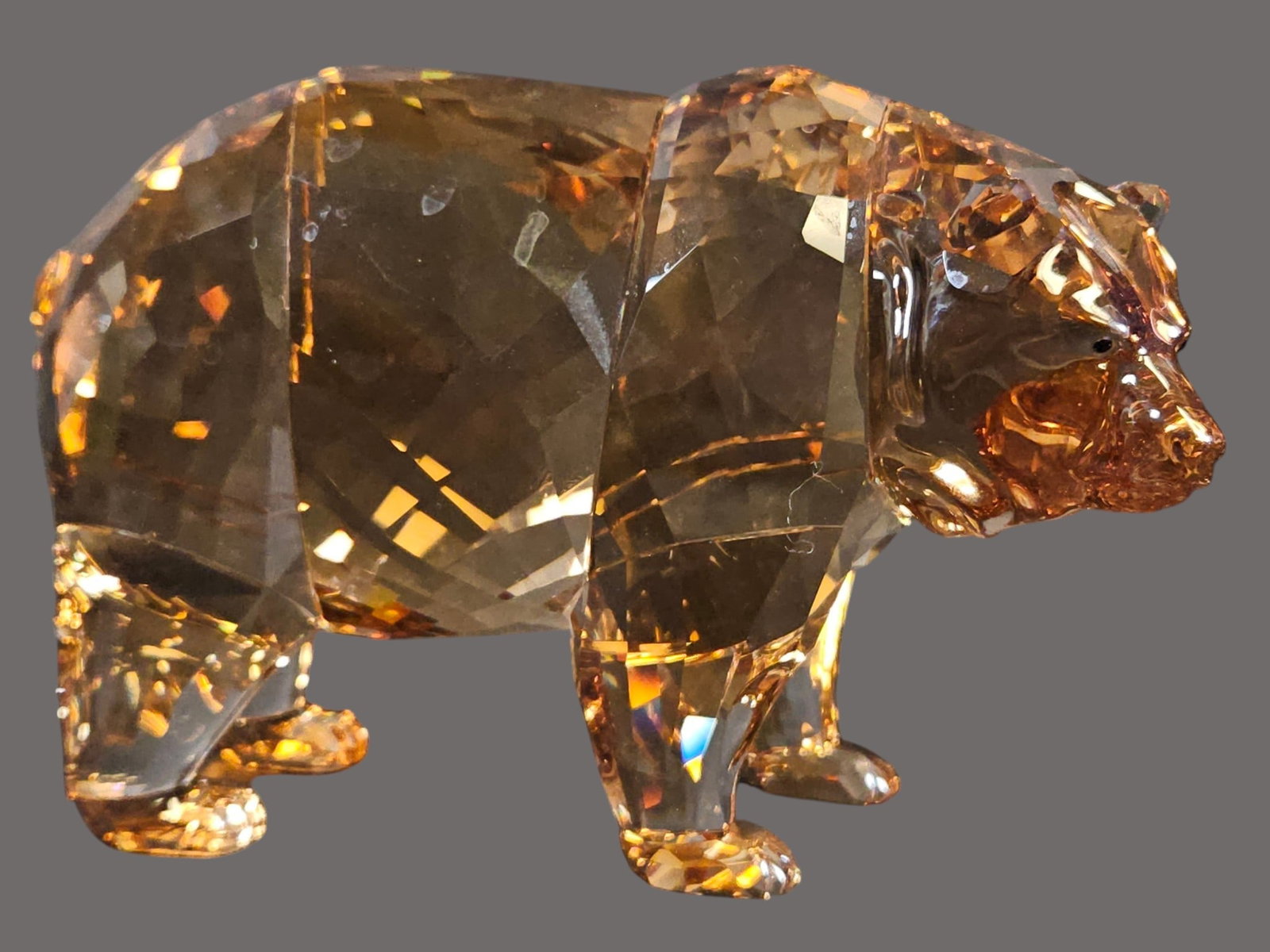 Swarovski SCS Crystal 2017 Bear Arcadia - 2