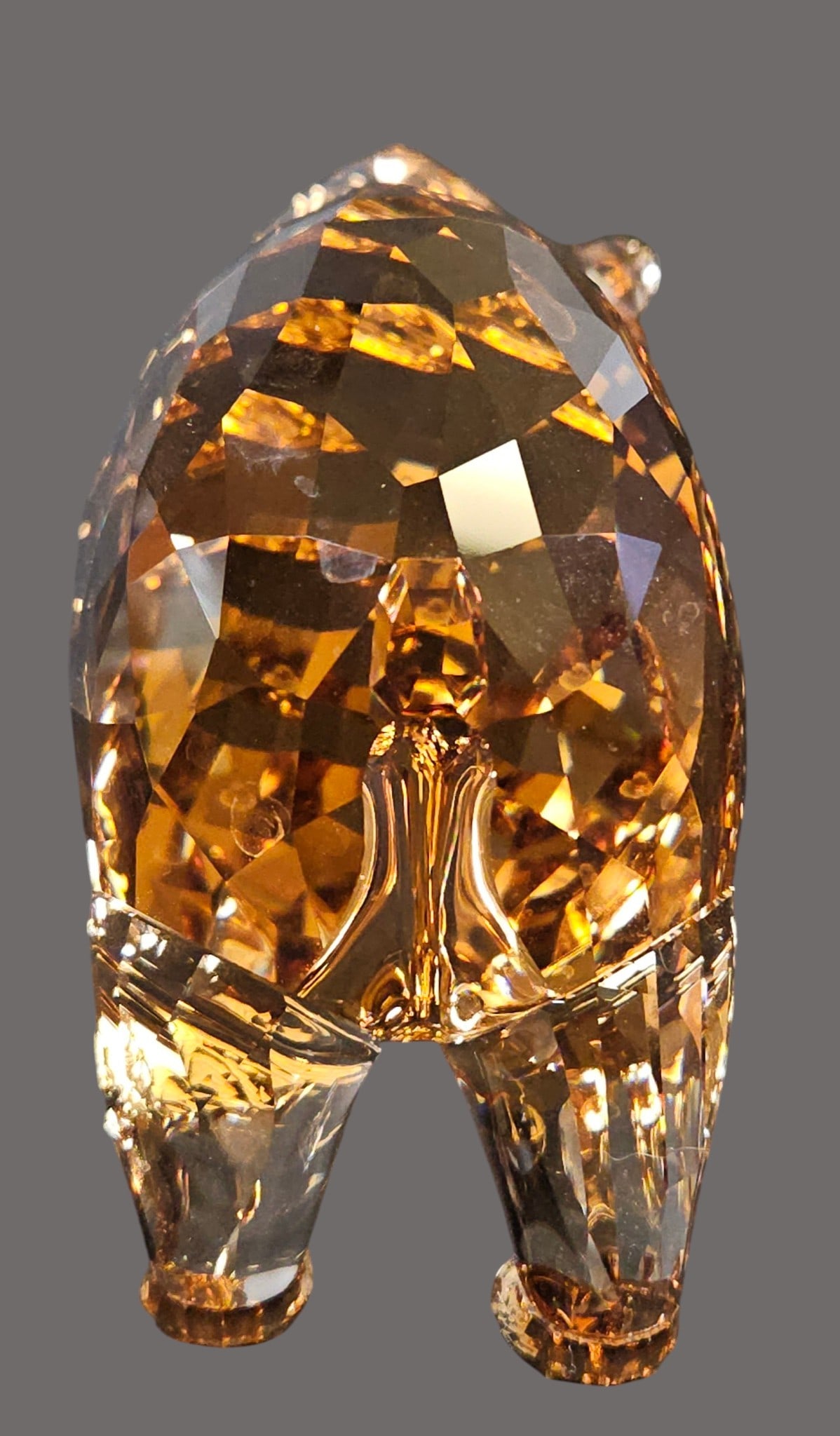Swarovski SCS Crystal 2017 Bear Arcadia - 3