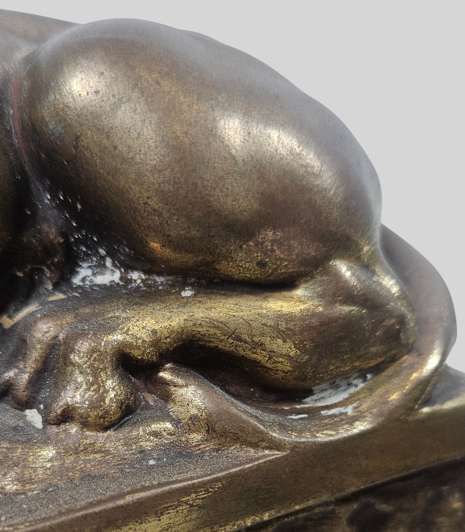Pair Bronze Clad Lion Form Bookends - 7