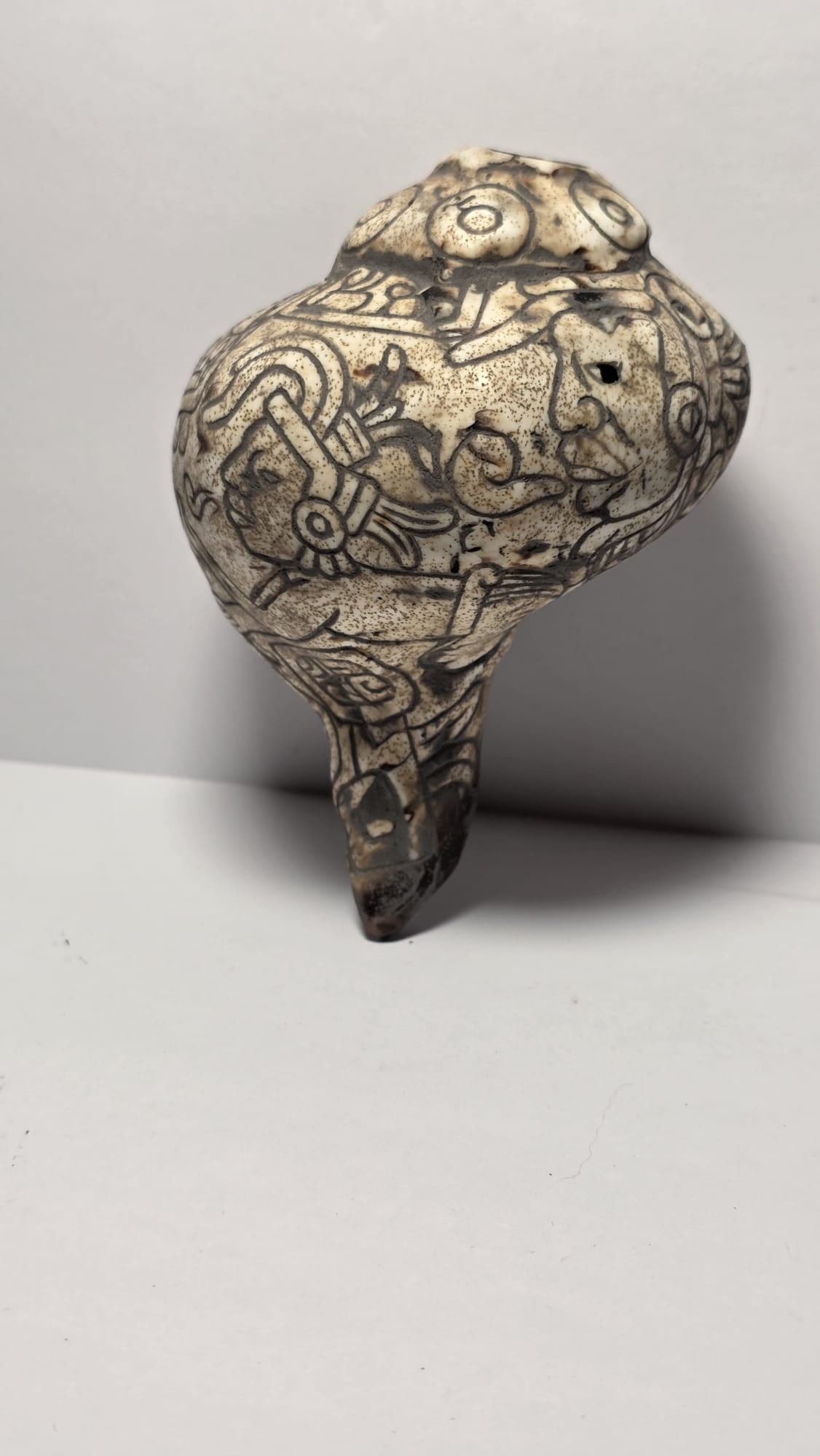 PRE-COLUMBIAN MAYAN CARVED CEREMONIAL SNAIL: PRE-COLUMBIAN MAYAN CARVED CEREMONIAL SNAILPre-Columbian Mayan carved ceremonial snail shell, dating approximately 700 AD – 1200 AD (Late Classic to Early Postclassic period). Carved shells and conc