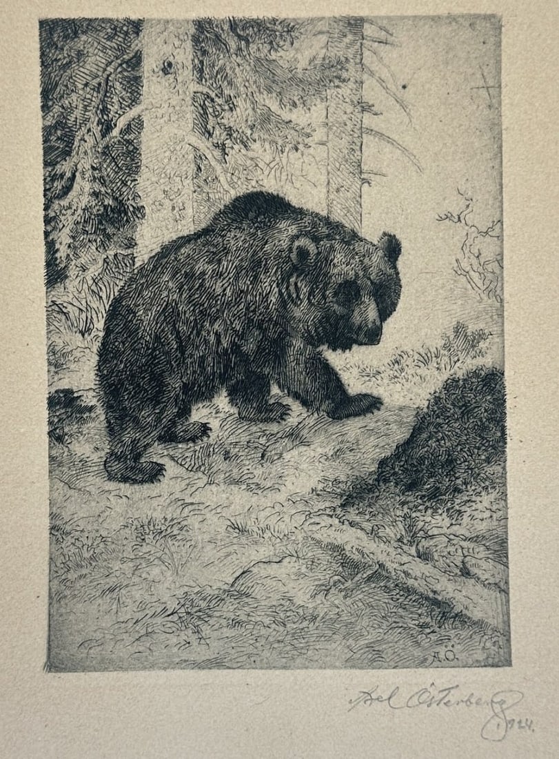 Karl Ofterdinger (1844–1891) – Bear in the Forest – Etching (Published 1924) (1 of 5)