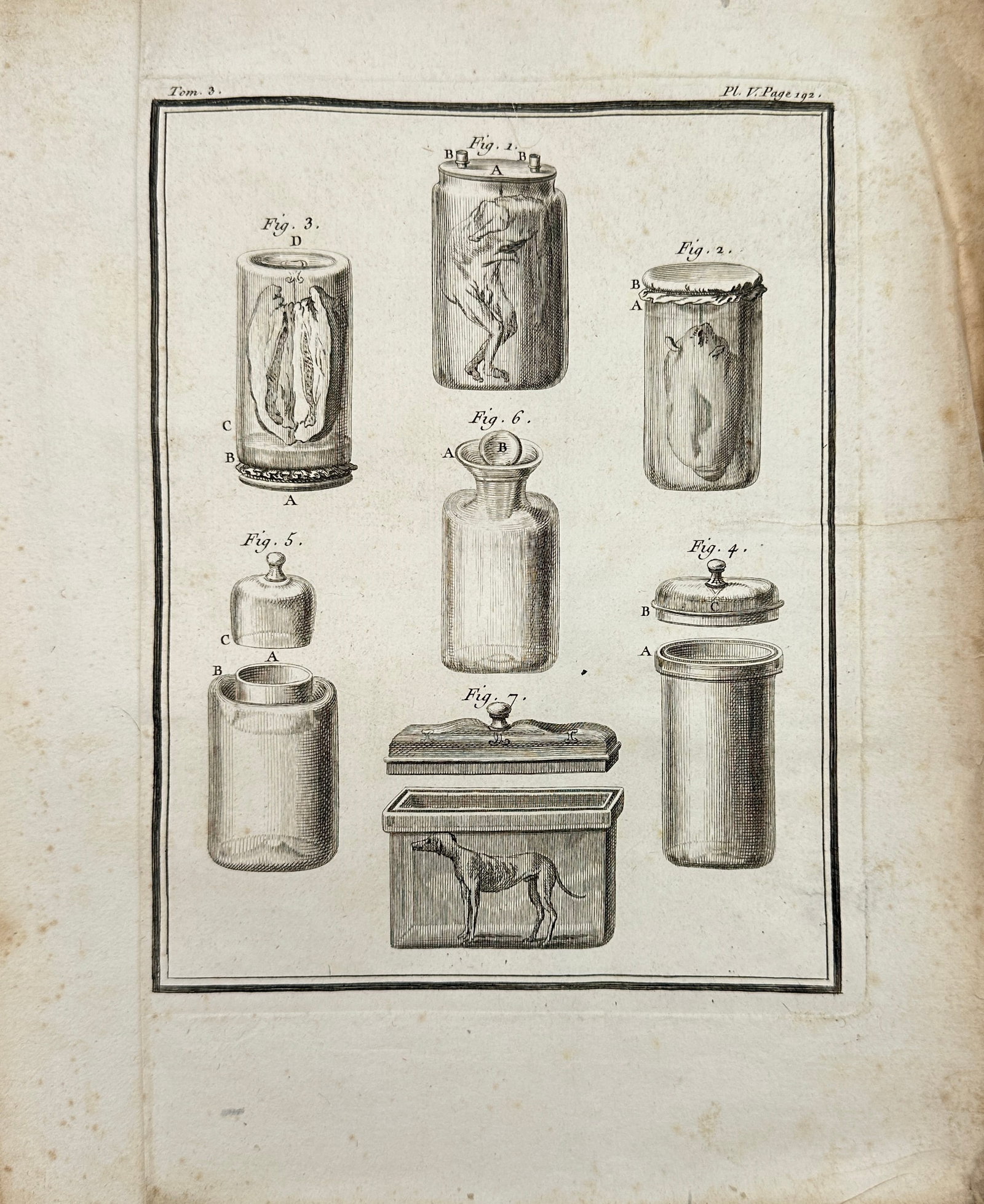 Georges-Louis Leclerc, Comte de Buffon – Anatomical Preparations – Engraving (c.1760s): This scientific engraving depicts a meticulously arranged collection of anatomical specimens preserved in glass jars and containers, each labeled with figure numbers. The plate is part of the encyclop