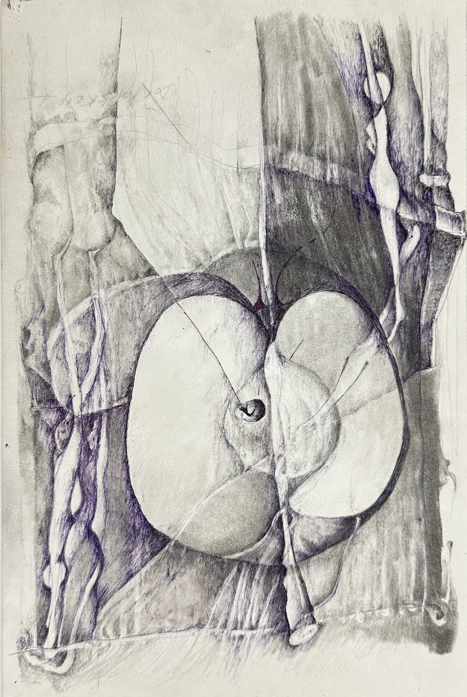 Unknown Artist – Surrealist Anatomical Study with Organic Forms – Pencil and Ink Drawing (1 of 2)