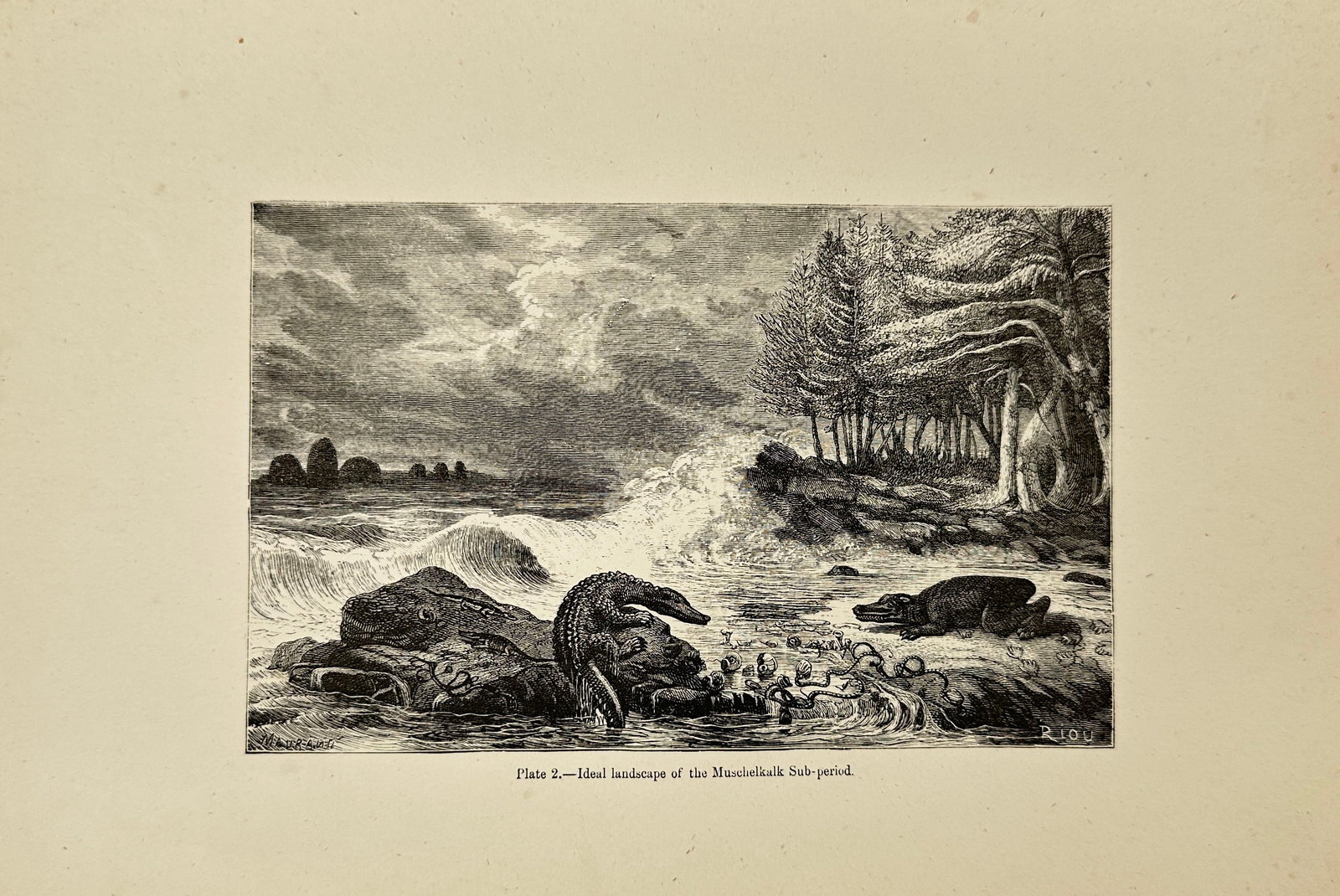 Édouard Riou – Ideal Landscape of the Muschelkalk Sub-period – Engraving: This engraving imagines the Earth during the Muschelkalk sub-period, a division of the Middle Triassic, depicting coastal reptilian fauna and primeval plant life under dramatic skies. The scene captur