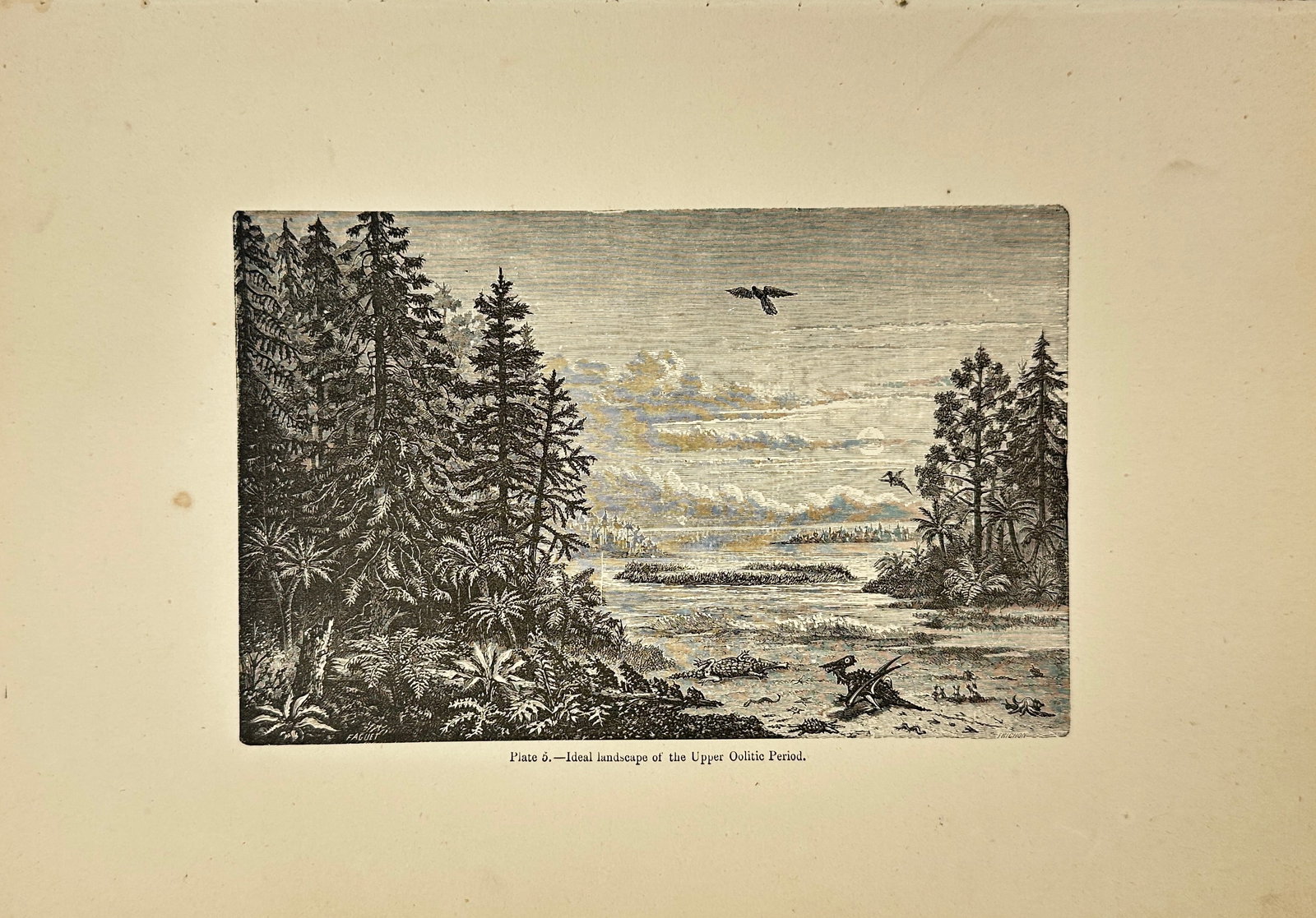 Édouard Riou – Geological Print – Plate 5 Ideal Landscape of the Upper Oolitic Period: This illustration, Plate 5 from The World Before the Deluge, depicts an idealized vision of the Upper Oolitic Period. It features dense coniferous vegetation, primitive flora, and early reptiles along