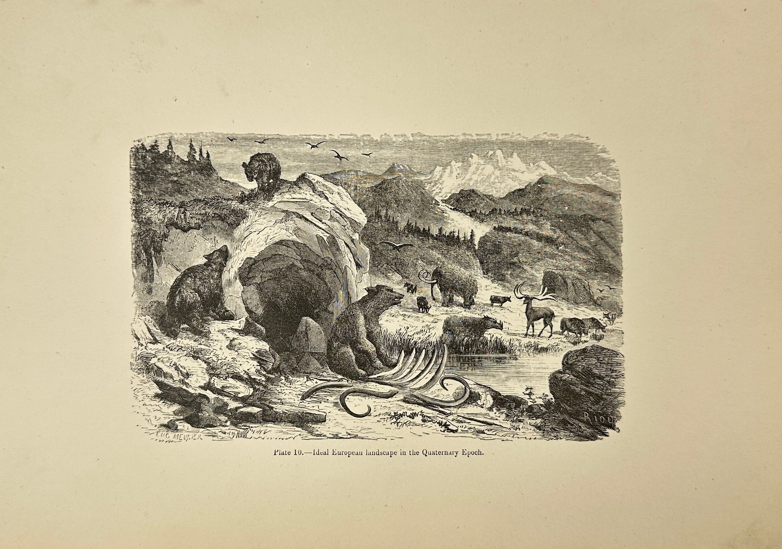 Édouard Riou – Geological Print – Plate 10 Ideal Landscape of the Upper Oolitic Period: This illustration, Plate 10 from The World Before the Deluge, presents a scientifically inspired reconstruction of Europe during the Quaternary Epoch. The scene includes cave bears near a rocky shelte