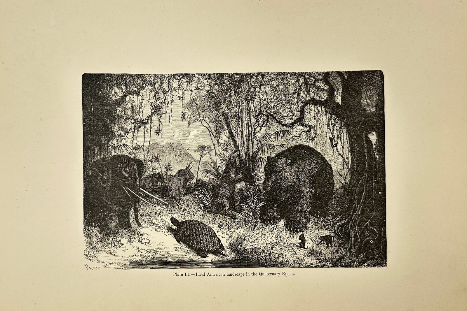 Édouard Riou – Geological Print – Plate 11 Ideal Landscape of the Upper Oolitic Period: This illustration, Plate 11 from The World Before the Deluge, visualizes the American continent during the Quaternary Epoch. It depicts a dense prehistoric jungle inhabited by giant sloths, mastodons,