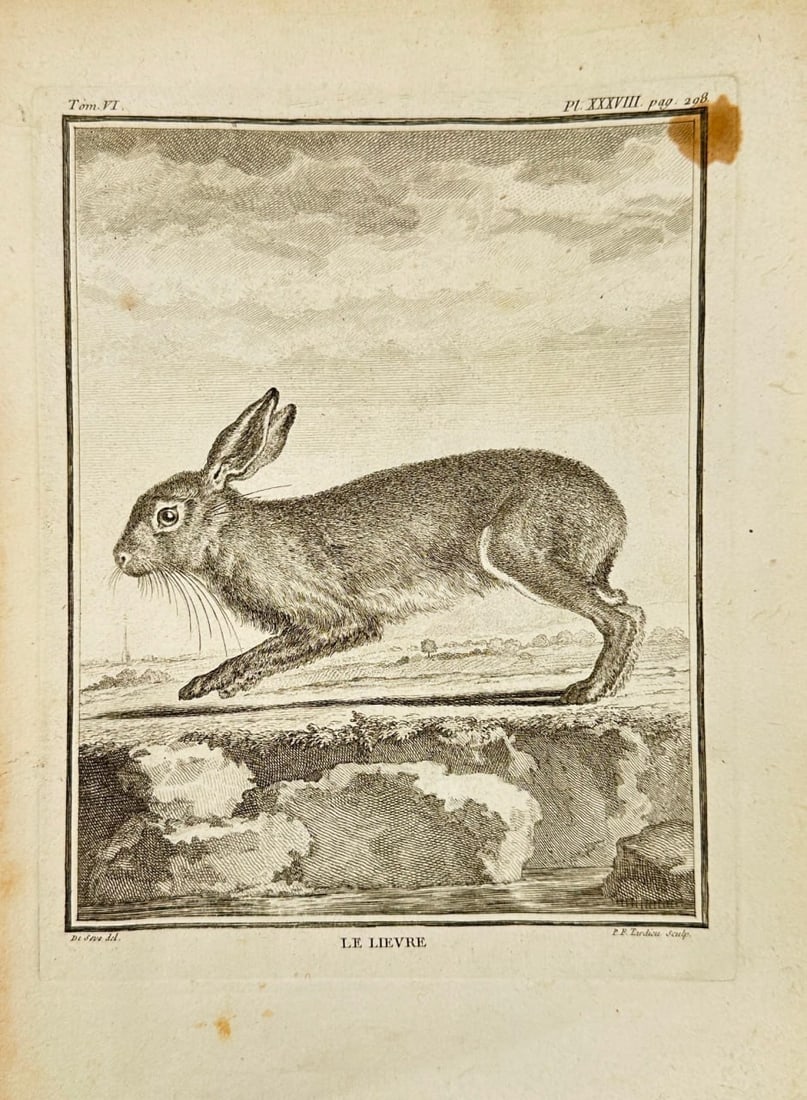 Jacques de Sève – Le Lièvre (The Hare) – Copperplate Engraving by Robert Bénard (1 of 3)