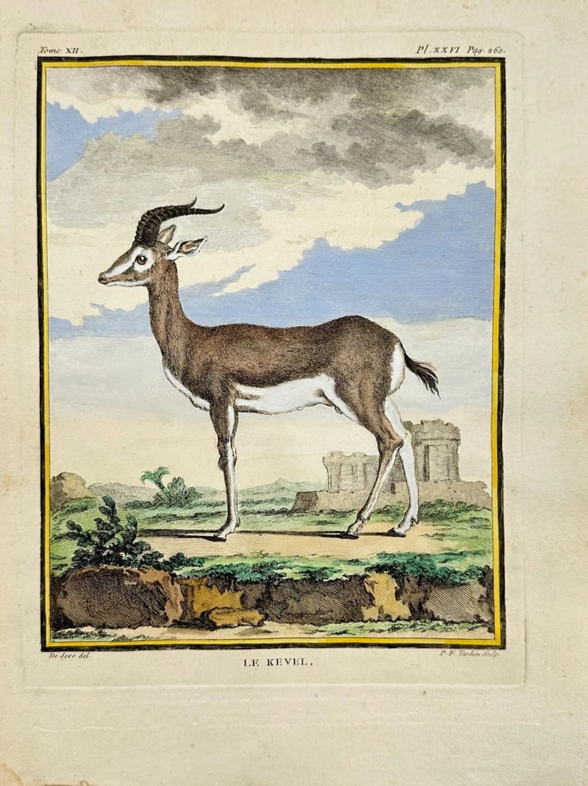 Jacques de Sève & Comte de Buffon – Greater Grebe – Hand-Coloured Engraving (1 of 3)