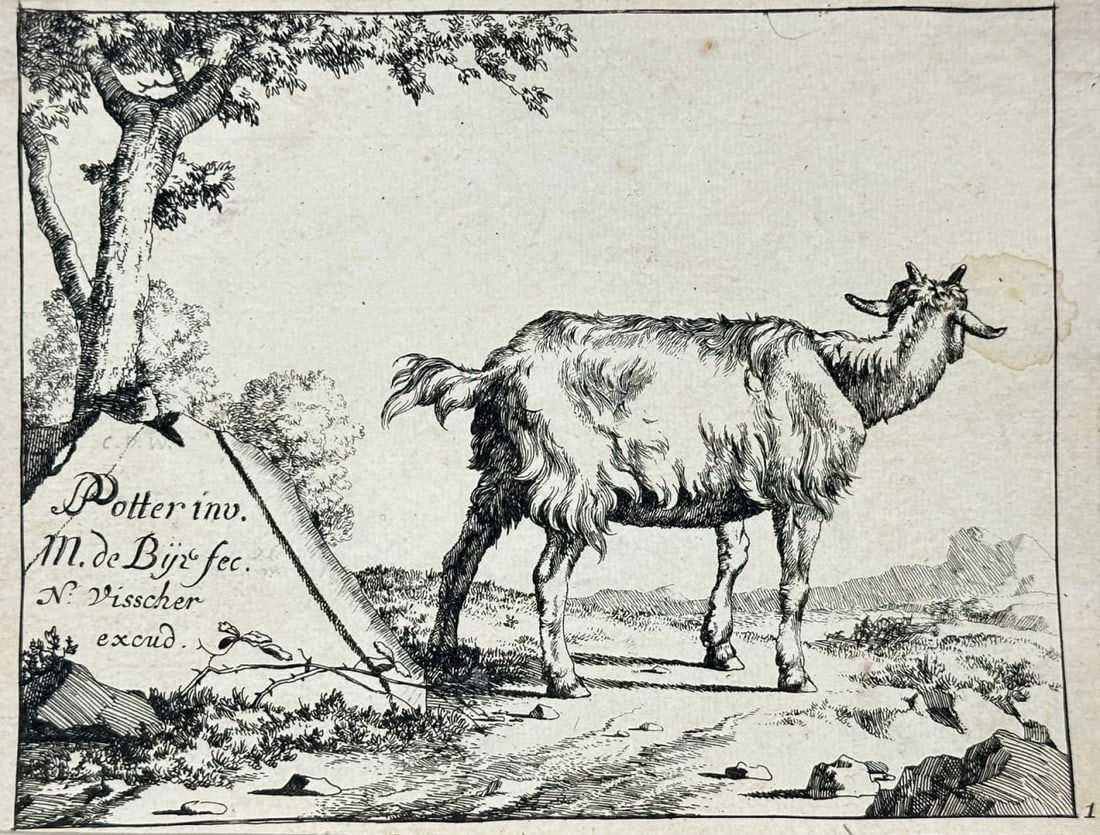 Paulus Potter (1625–1654) – Standing Goat Seen from Behind – Engraving (1 of 3)
