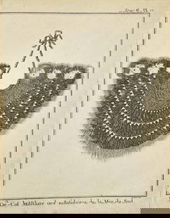 Johann Sebastian Klauber  – Haube-Col Militaire des Insulaires de la Mer du Sud – Etching: Finely detailed 18th-century etching depicting a ceremonial military gorget from the South Sea Islands, composed of feathers and natural fibers in concentric ornamental bands. Labeled Haube-Col Milita