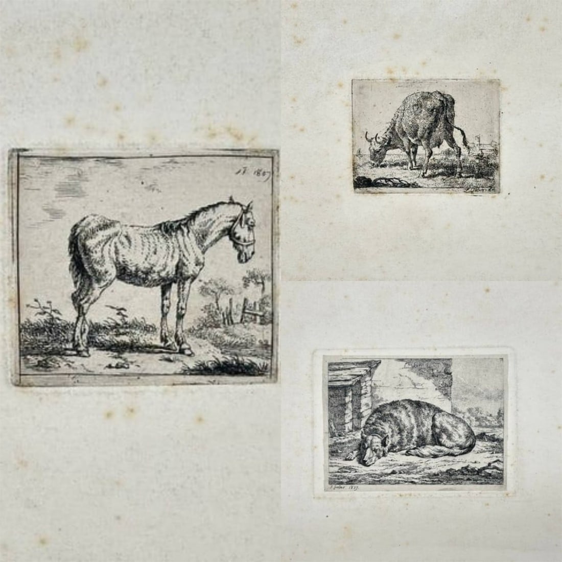 Frederic Theodore Faber – Set of 3 Etchings: Standing Horse, Grazende Koe (Grazing Cow) (1 of 4)