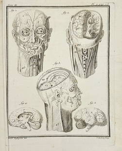 Georges Louis Leclerc, Comte de Buffon – Anatomical Plate from Volume III, Plate 9 – Engraving: This detailed anatomical engraving by Georges Louis Leclerc presents multiple views of the human head and brain, including cross-sections and muscle structures. The illustration is finely detailed and